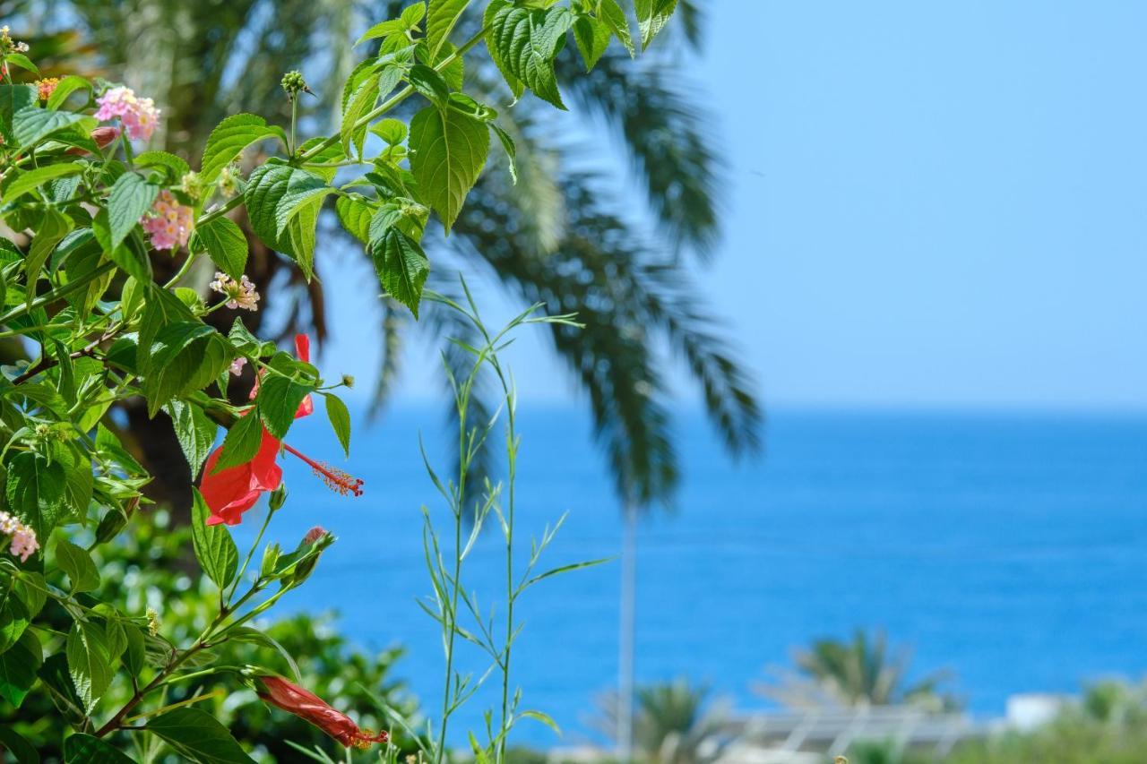 Beautiful Torreoceano 92, Pool, Beach Access La Cala De Mijas Zewnętrze zdjęcie